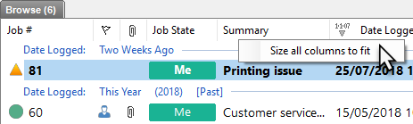 size columns to fit